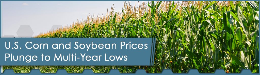 U.S. Corn and Soybean Prices Plunge to Multi-Year Lows 1 Corn and Soybean Horizontal - The Chemical Company